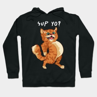 SUP YO? Funny Cat Slang Wazzup Wazzup Saying Quote Meme Hoodie